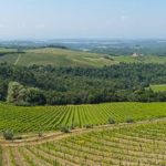 Barone Ricasoli winery landscape